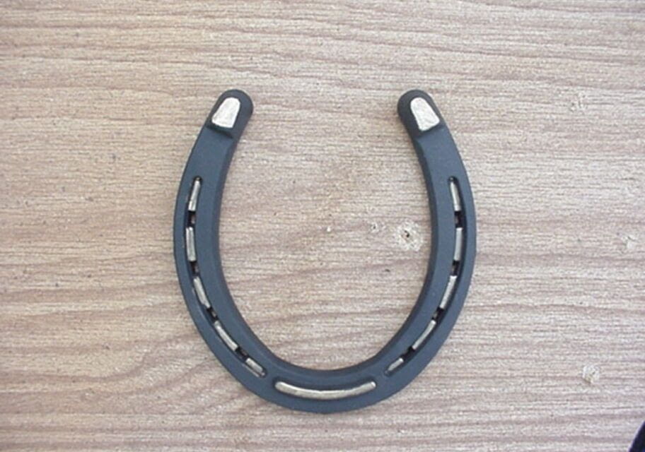 lucky_horseshoe_big_original.jpg