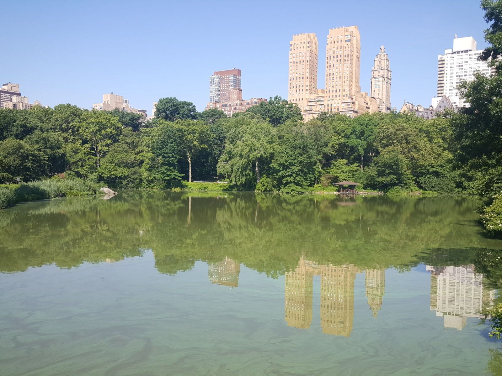 Les plus belles villes offrent toutes des parcs majestueux, dans lesquels tu peux &eacute;videmment courir... Mais ils sont parfois gigantesques et en y courant au hasard, on en voit pas forc&eacute;ment…