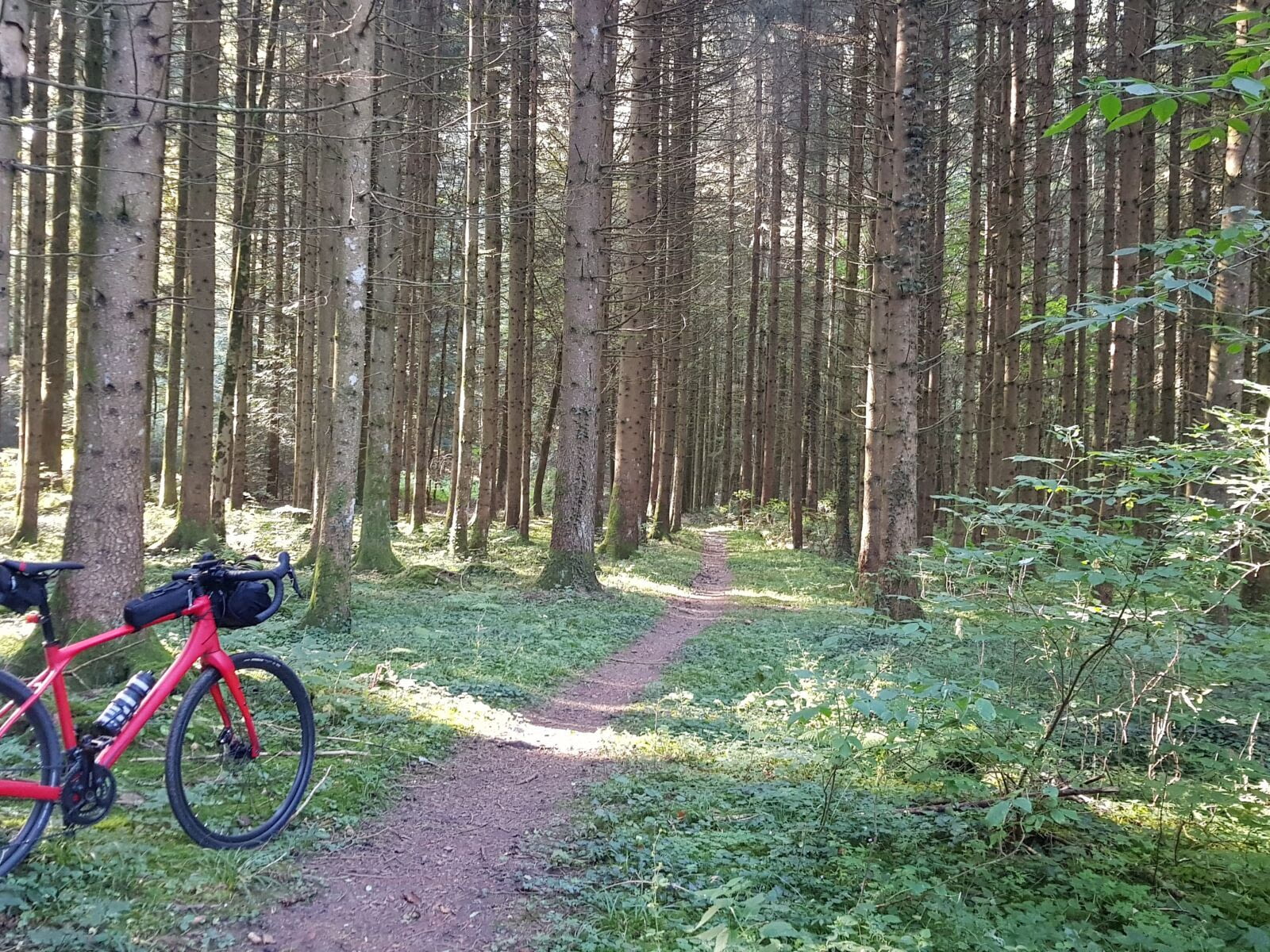 An stunning comparison between the distance covered on my office chair and on my bicycles&hellip;    2023, the first non-running year in 15 years... But an amazing year of cycling on my mountain bike and…