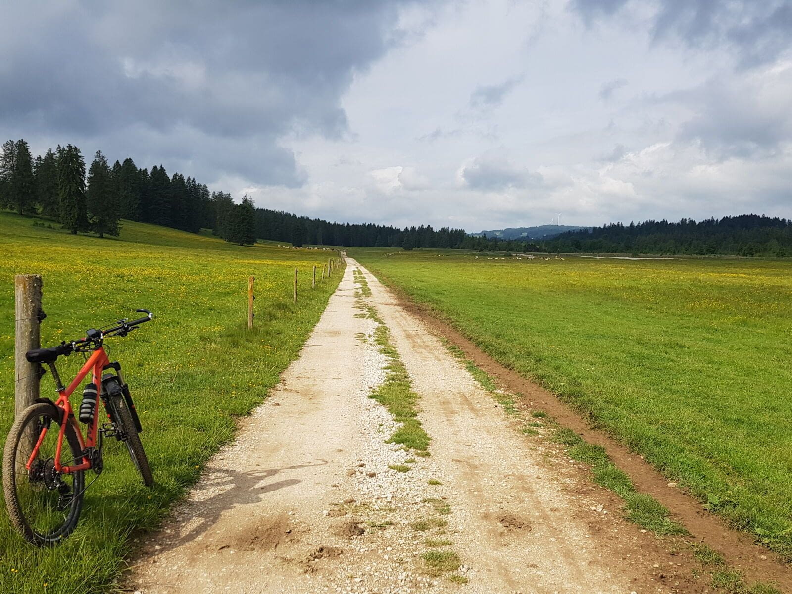 Mountain biking all along the Swiss Jura, on a marked, fun and varied itinerary, in the heart of lush, wild and magical landscapes. The perfect experience to clear your mind and body, but get covered…