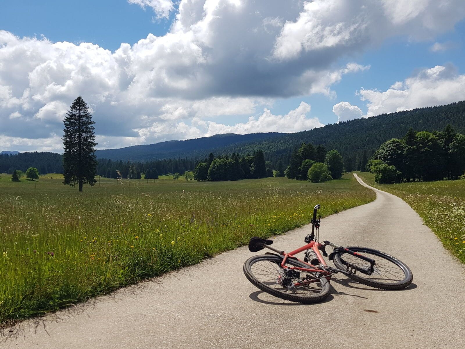 Une comparaison &eacute;difiante entre la distance parcourue sur ma chaise de bureau et sur mes v&eacute;los    2023, premi&egrave;re ann&eacute;e sans course &agrave; pied depuis 15 ans&hellip; Mais du…