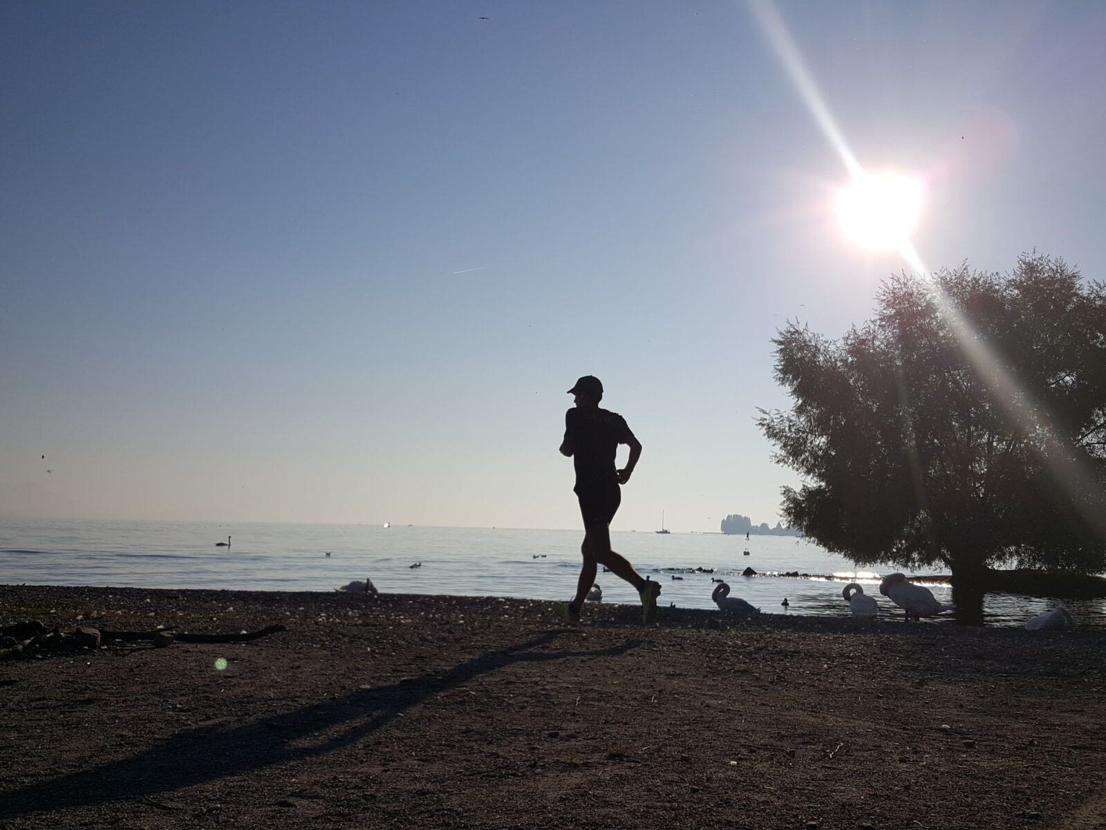 Eh oui, c&rsquo;est l&rsquo;&eacute;t&eacute;, et l&rsquo;&eacute;t&eacute;, il fait chaud&hellip; il faut aussi chaud si tu cours nos parcours &agrave; Miami&nbsp;(tu as vu le petit clip sur le run &agrave;…