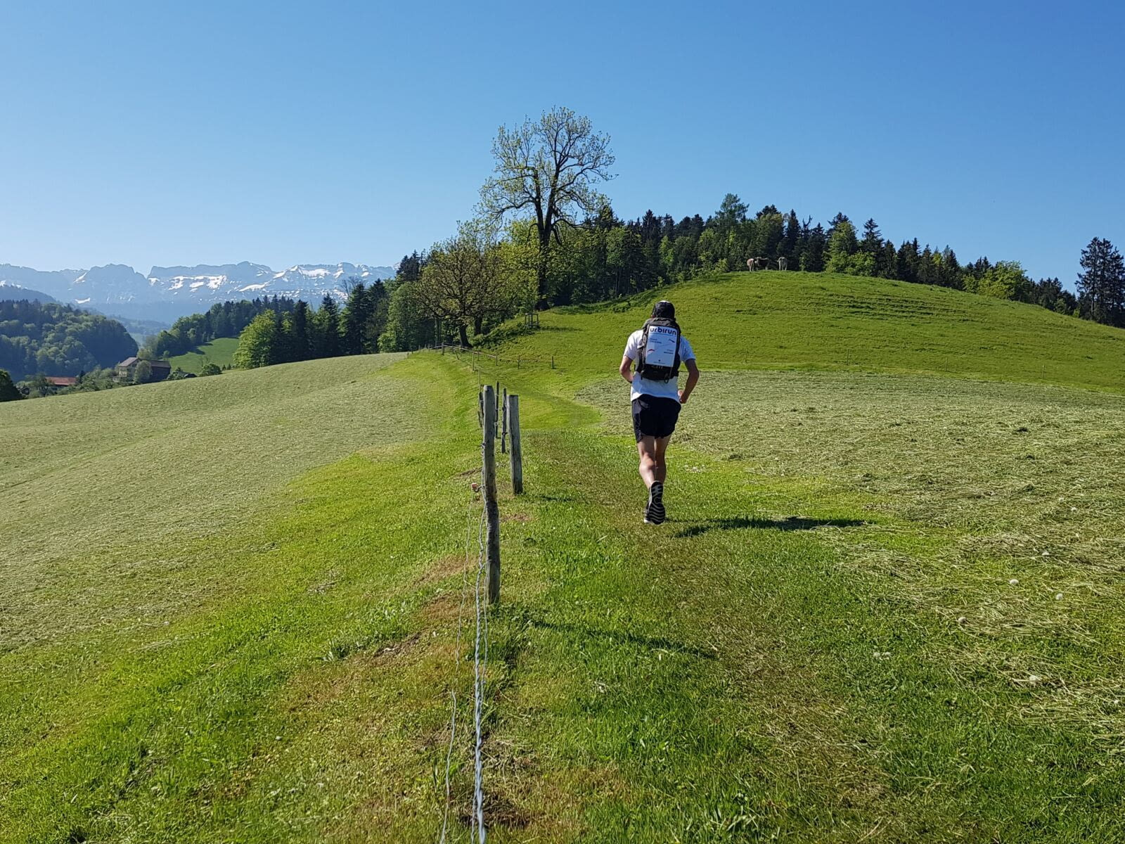 Etape 2 - Herisau-Wattwil - 24.75km (total 52.85km) / 891m D+ (1&#39;628) - 7 ponts&nbsp; (11)      Celle o&ugrave; j&#39;ai couru dans la prairie, et il y avait une petite maison, et m&ecirc;me quelques…