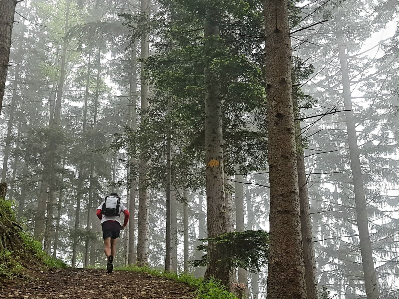 Etape 7 - Wolhusen-L&uuml;dernalp - 28.3km (total 213,3km) / 1&#39;267D+ (5&#39;908m) / ponts 3 (51).    Celle o&ugrave; je n&#39;ai pas vu le paysage, et j&#39;ai tchiaff&eacute; dans la boue&hellip;      Pour…