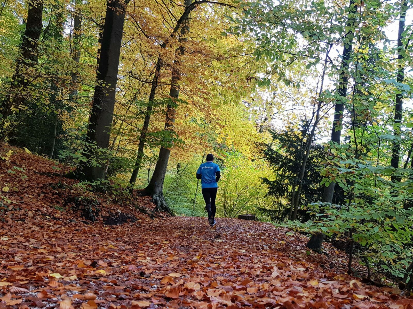 Run and visit Bern, in trailrunning mode?    Gurten Hill    Run and explore the Gurten hill, which offers magnificent panoramic views of the city, then you&#39;ll run across the Ch&uuml;nizberg forest. You&#39;ll…