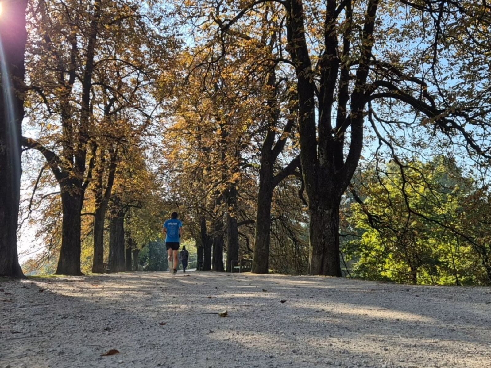 Tu veux am&amp;eacute;liorer ta vitesse en course &amp;agrave; pied ? Et si la solution &amp;eacute;tait de ralentir ? Contrairement aux id&amp;eacute;es re&amp;ccedil;ues, courir vite &amp;agrave; chaque sortie n&amp;rsquo;est…