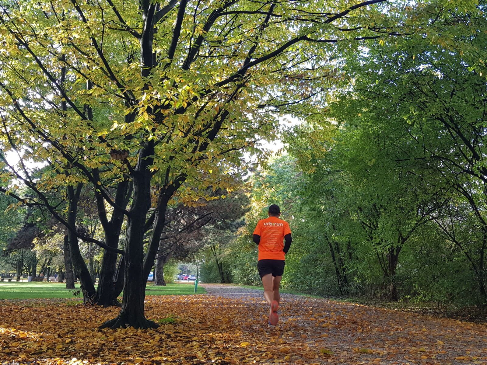 Ce parcours t&amp;#39;emm&amp;egrave;ne courir dans le plus grand parc de Munich, l&amp;#39;ENGLISCHER GARTEN&amp;nbsp;avec notre parcours de 11.5km (ou 9.5km) : sur cette itin&amp;eacute;raire tu traverseras aussi le Hofgarten,…